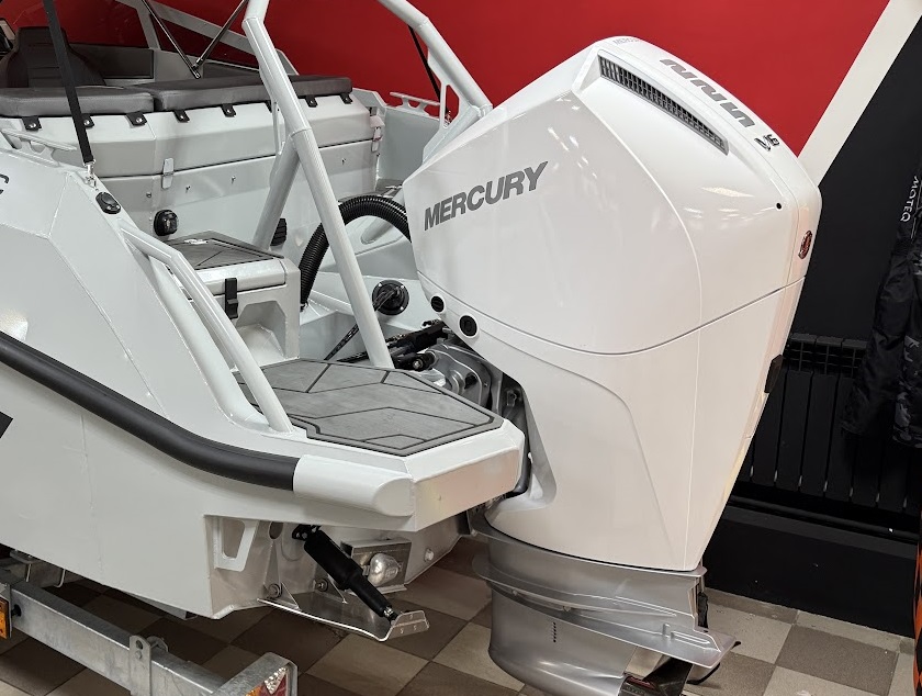 Двигатель Mercury F 225 XL DS EFI