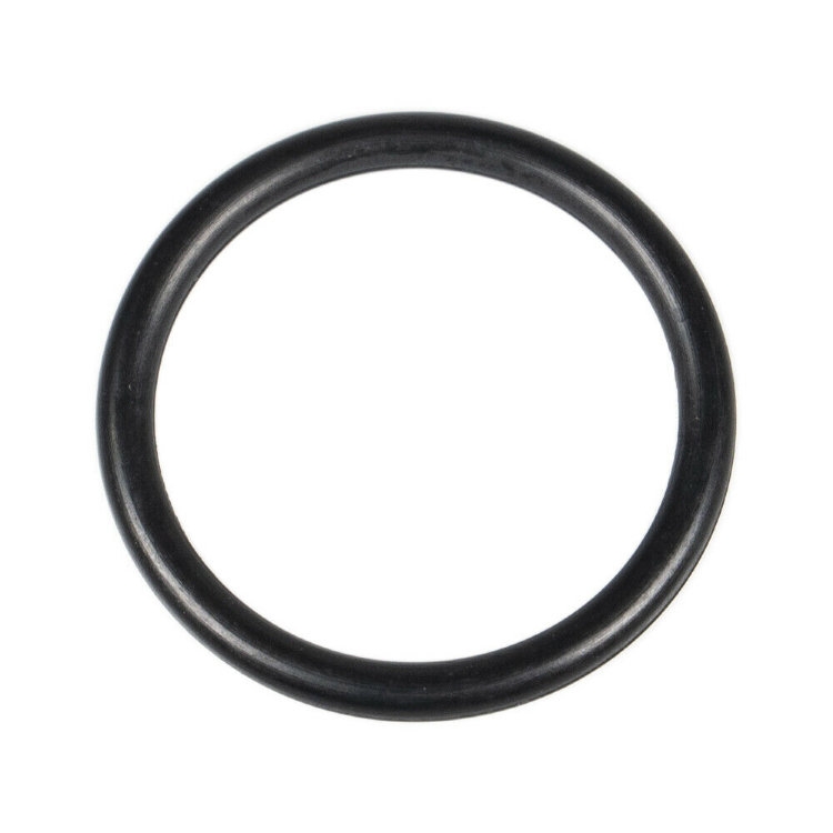 Кольцо O-Ring (5411411)
