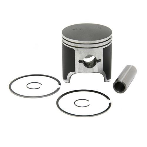 Поршень Polaris 550F (T-Moly, +0,25 мм) SM-09256-1