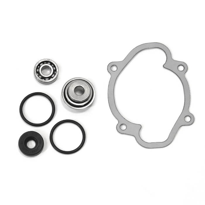 Ремкоплект помпы 850 ETEC (420430053)